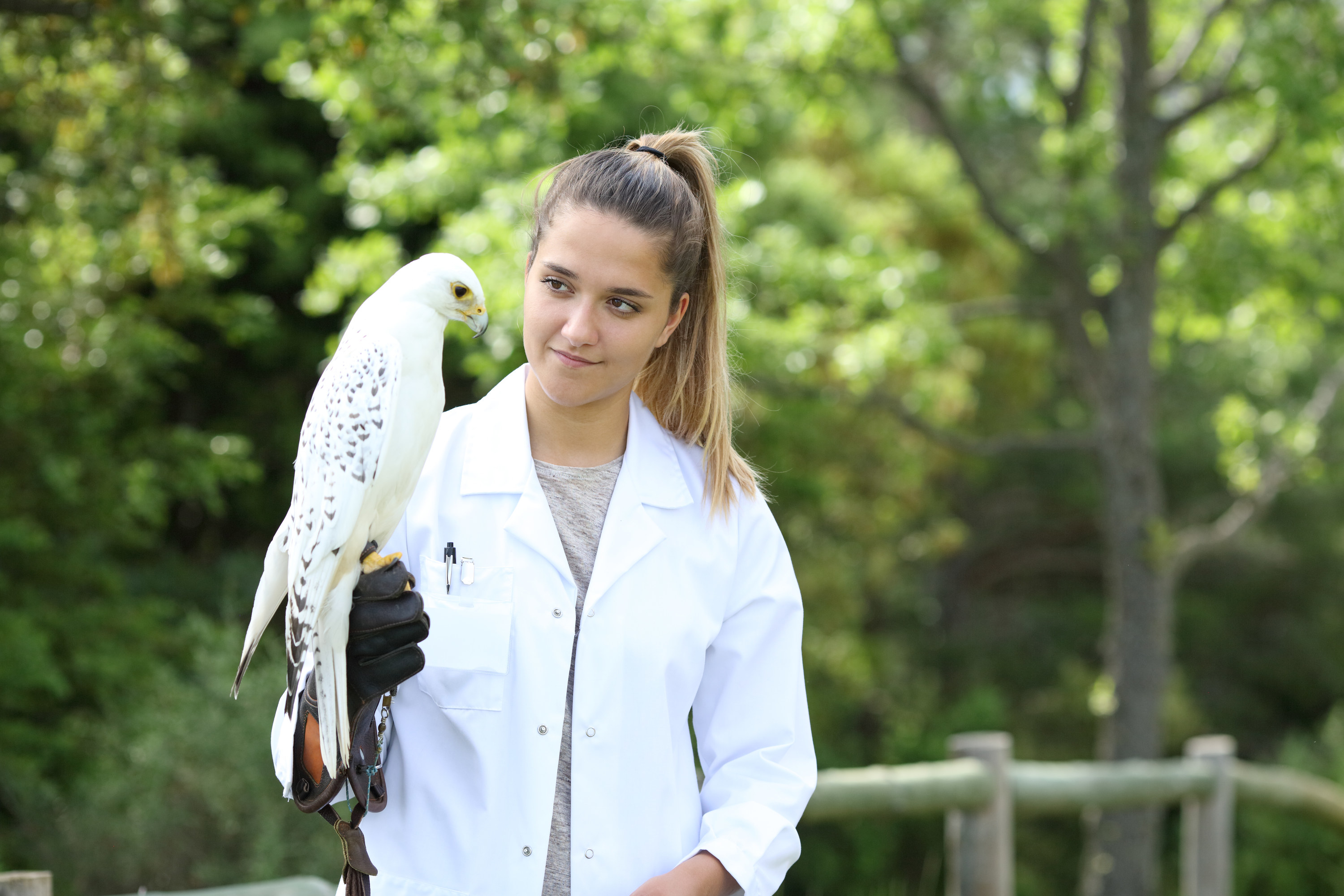a zoologist holding a falcon