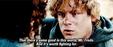 Sam from Lord of the Rings saying, &quot;That there&#x27;s some good in this world, Mr. Frodo, and it&#x27;s worth fighting for&quot;