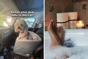left image: dog sitting in car seat, right image: person taking bath using drain cover