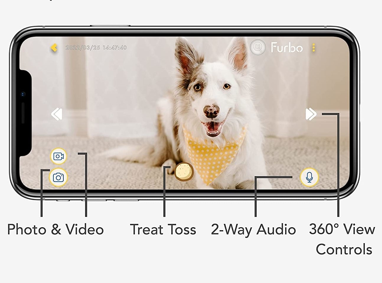 a phone open to the furbo app showing all of the controls