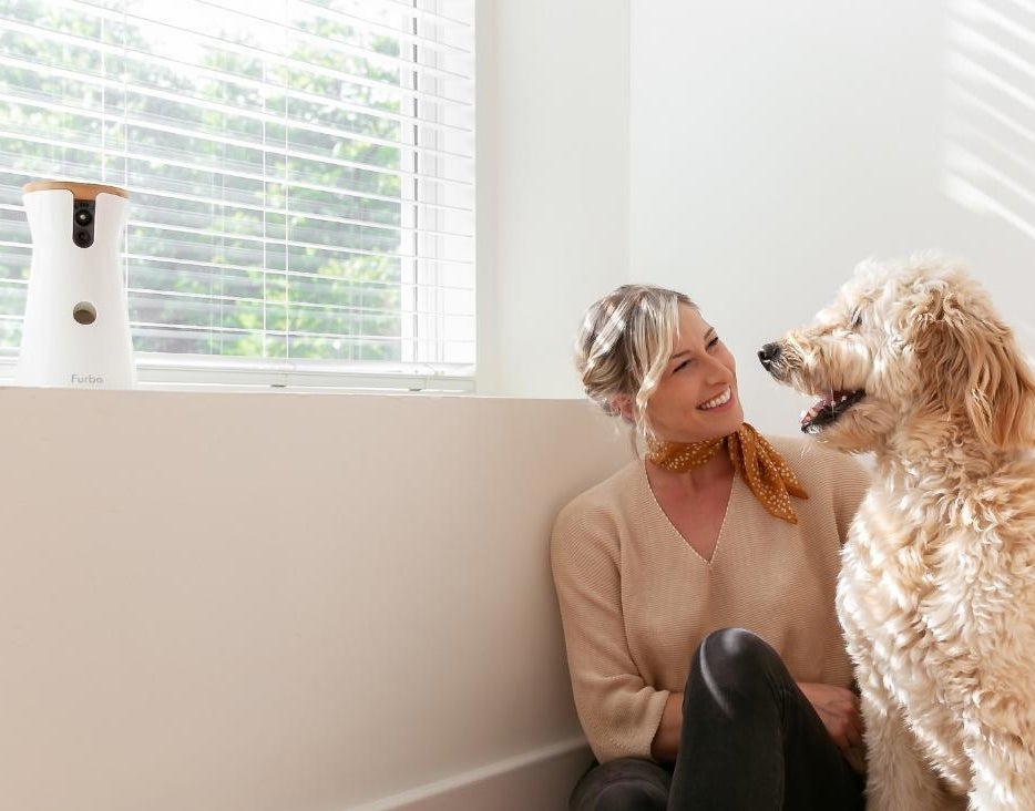 a person and a dog sitting beside a window and furbo device