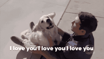 a person playing with their dog and repeating I love you I love you I love you