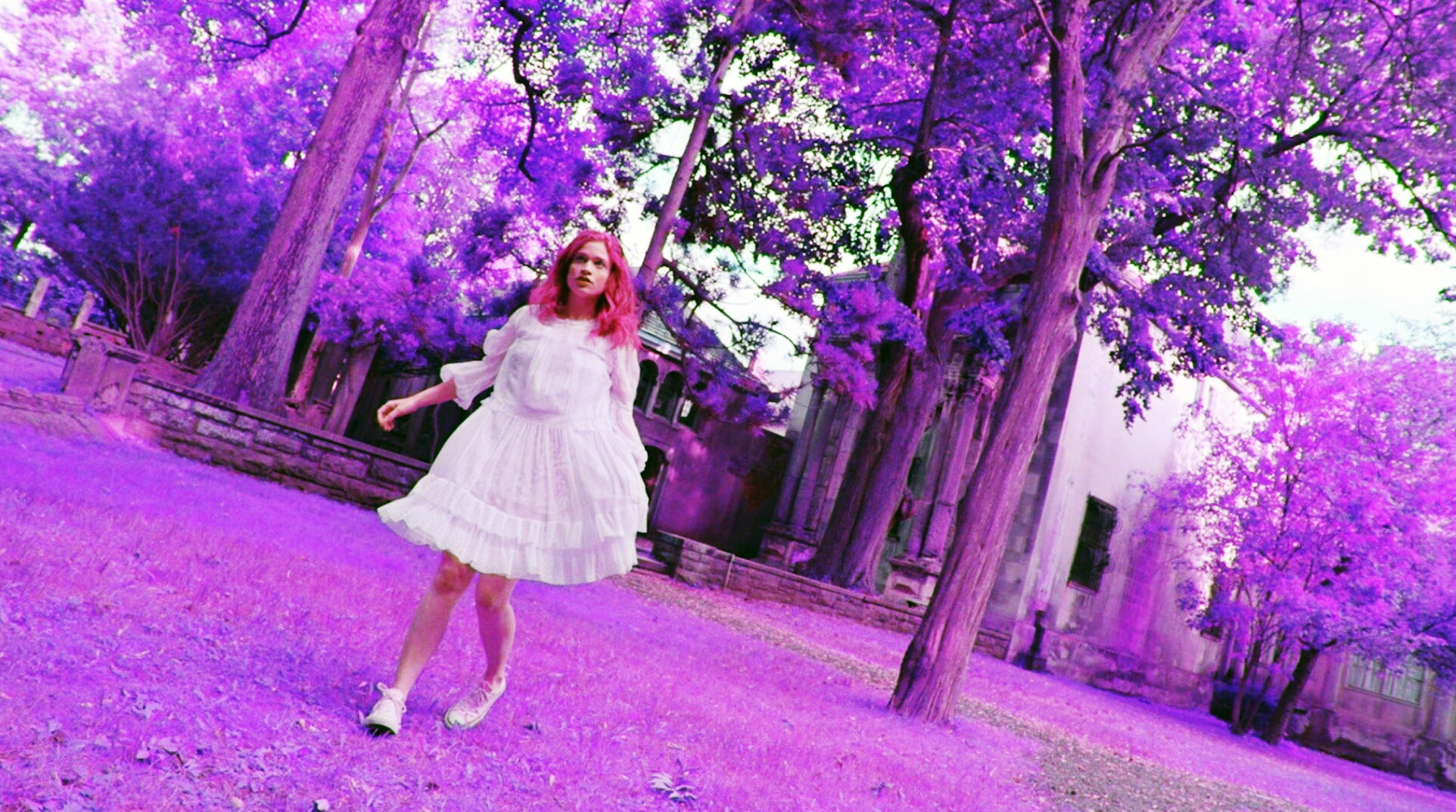 A young, pink-haired woman walks through a surreal purple forest in &quot;Braid&quot;