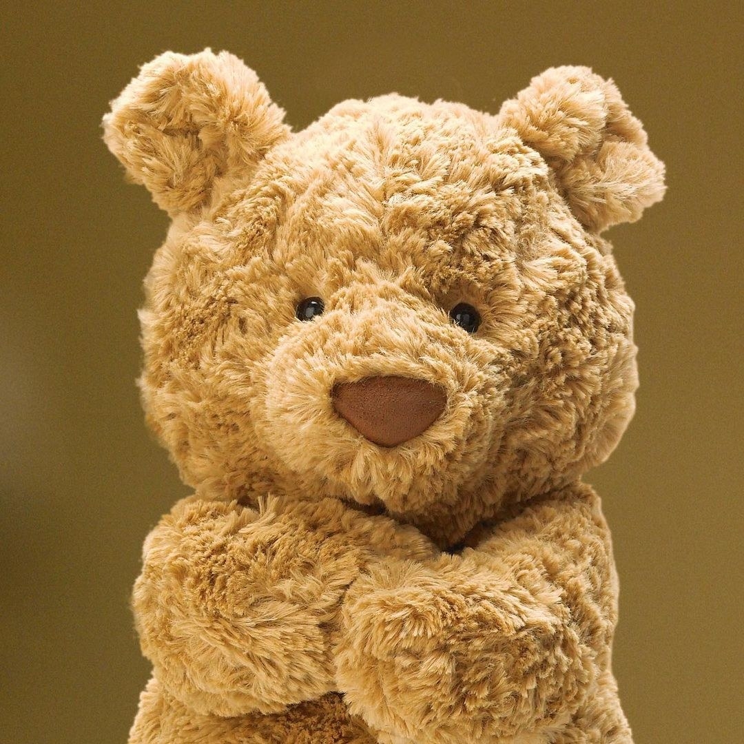 a plush toy bear