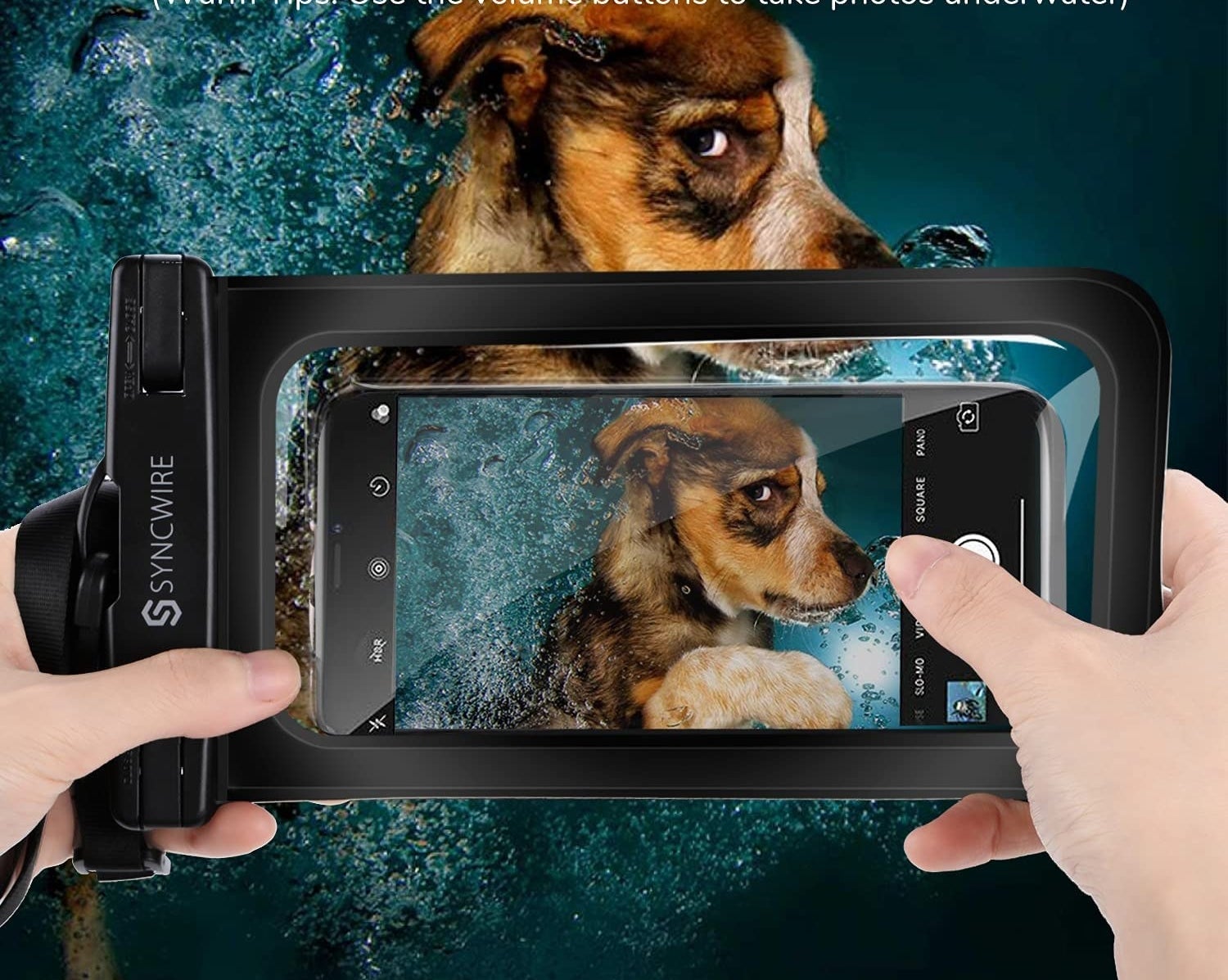 a person using the pouch to take a video of their dog in the water