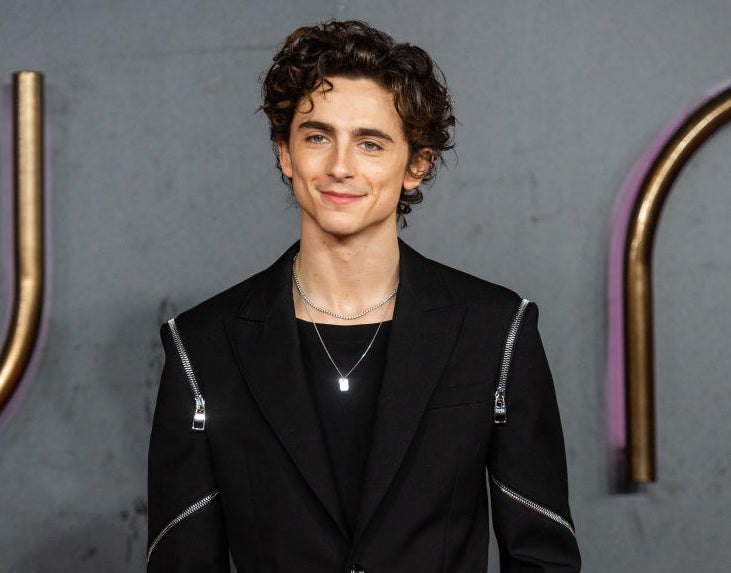 Timothée smiling on the red carpet