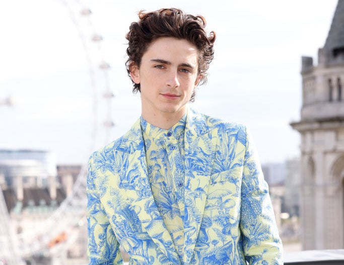 Timothée in a print suit