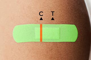 肩膀上的鲜绿色创可贴。创可贴上有一条橙色的线，好像这条创可贴是新冠病毒的检测。有一个C代表控制，一个T代表测试。单线表示检测结果为阴性。