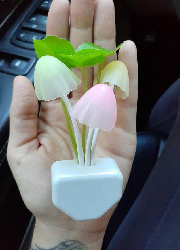 reviewer holding the plug-in light with pink and yellow mushrooms and leaves on top