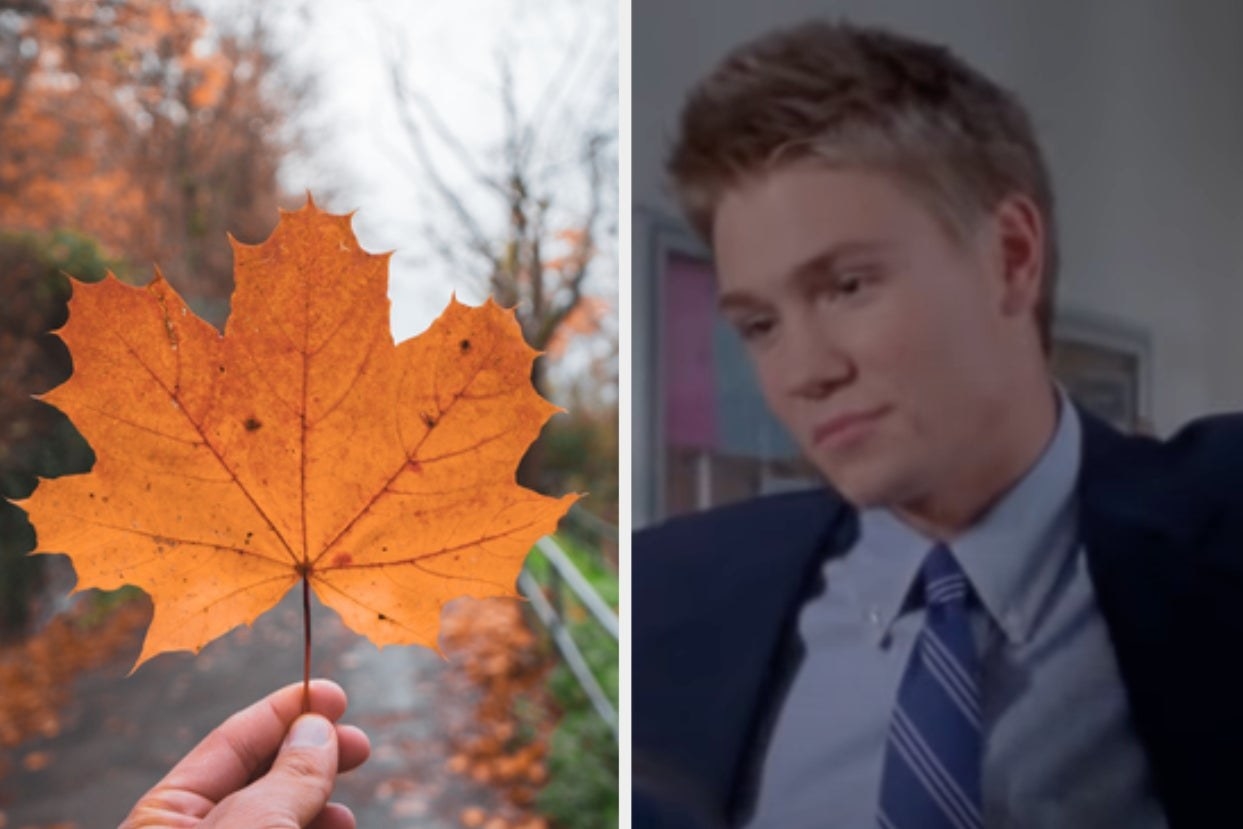 On the left, someone holding a leaf, and on the right, Chad Michael Murray as Tristin on &quot;Gilmore Girls&quot;