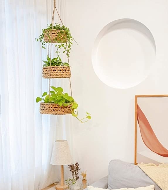 the basket hanging from the ceiling with plants in it