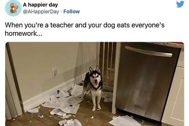 25 Hilarious Teachers Who Deserve "Teacher Of The Year" Awards On The Merit Of These Tweets Alone