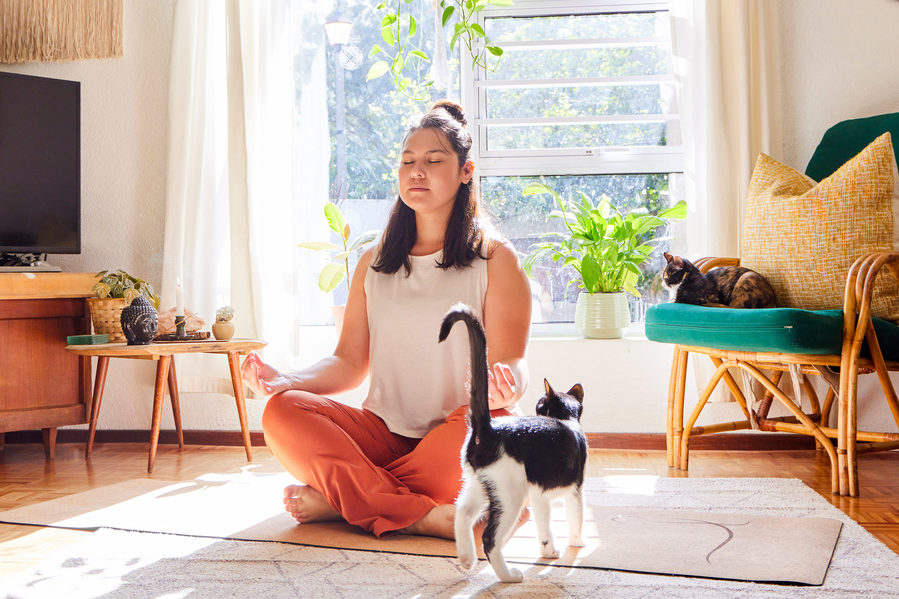 woman meditating at home with her cats