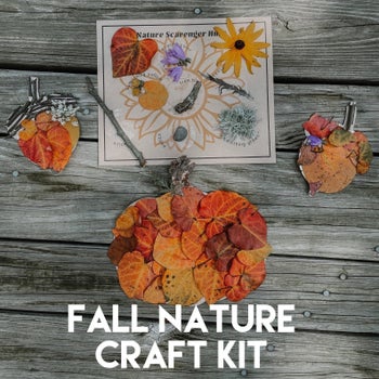 The fall nature craft kit