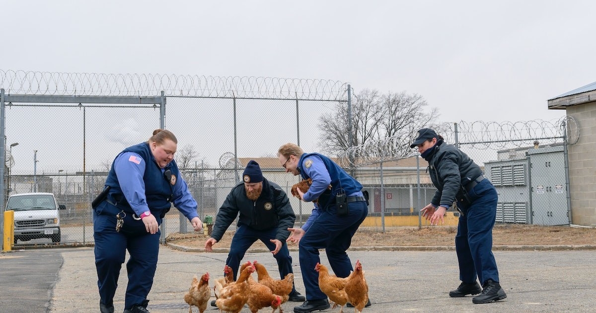 I Watched The First And Last Episodes Of Orange Is The New Black And Nothing Else - 18