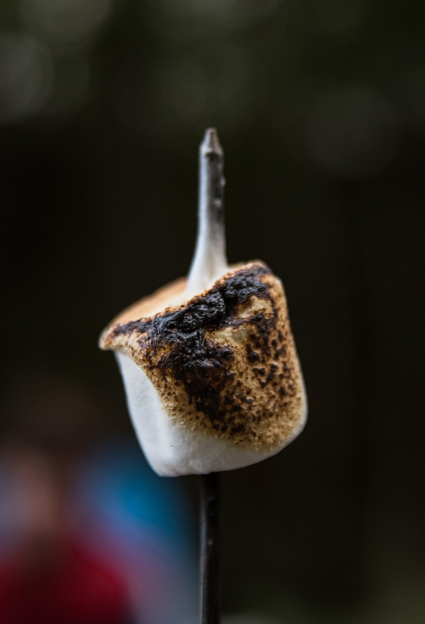 A toasted marshmallow on a stick.