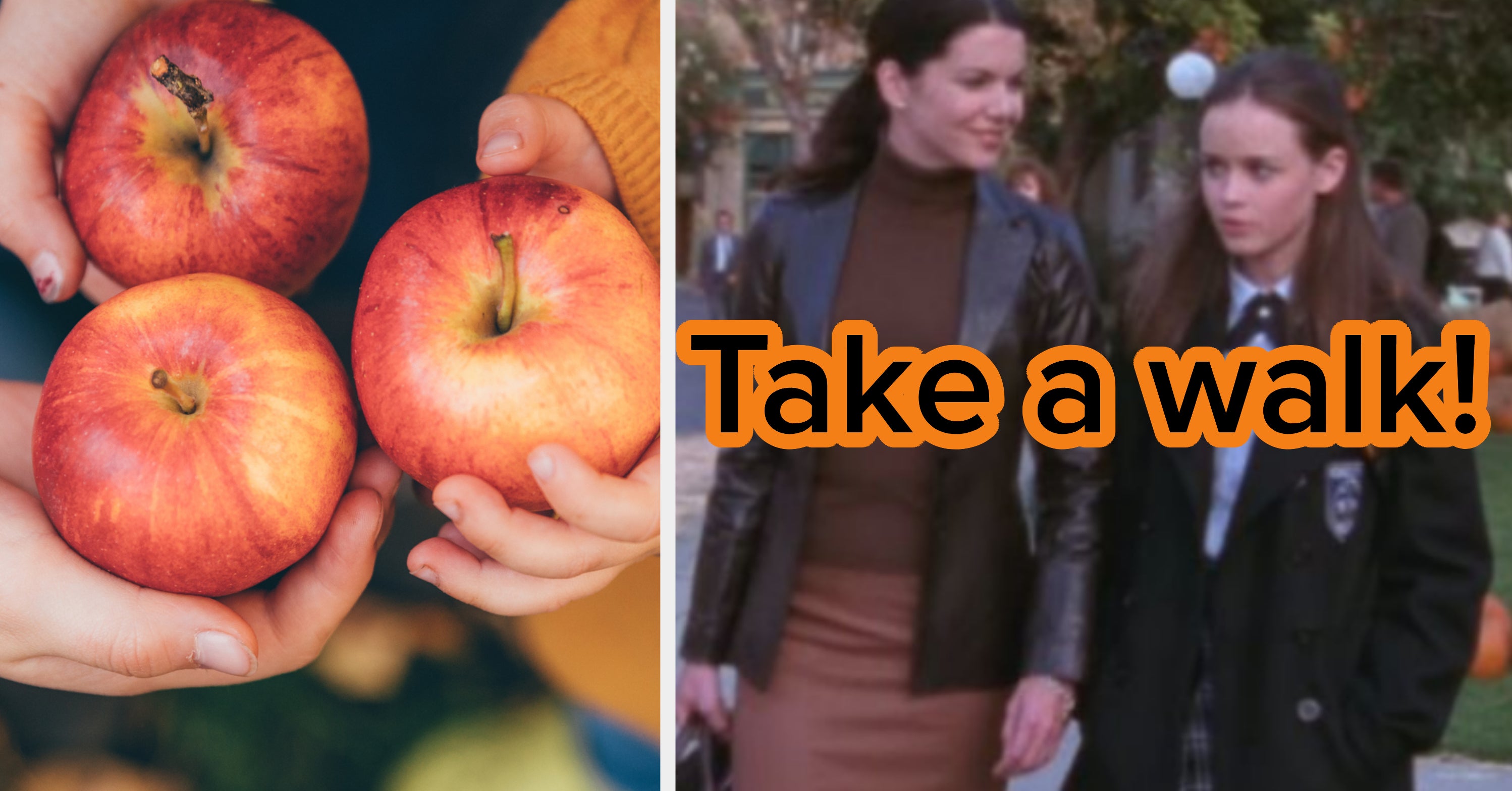 Pick Some Fall Images To Get An Autumn Activity