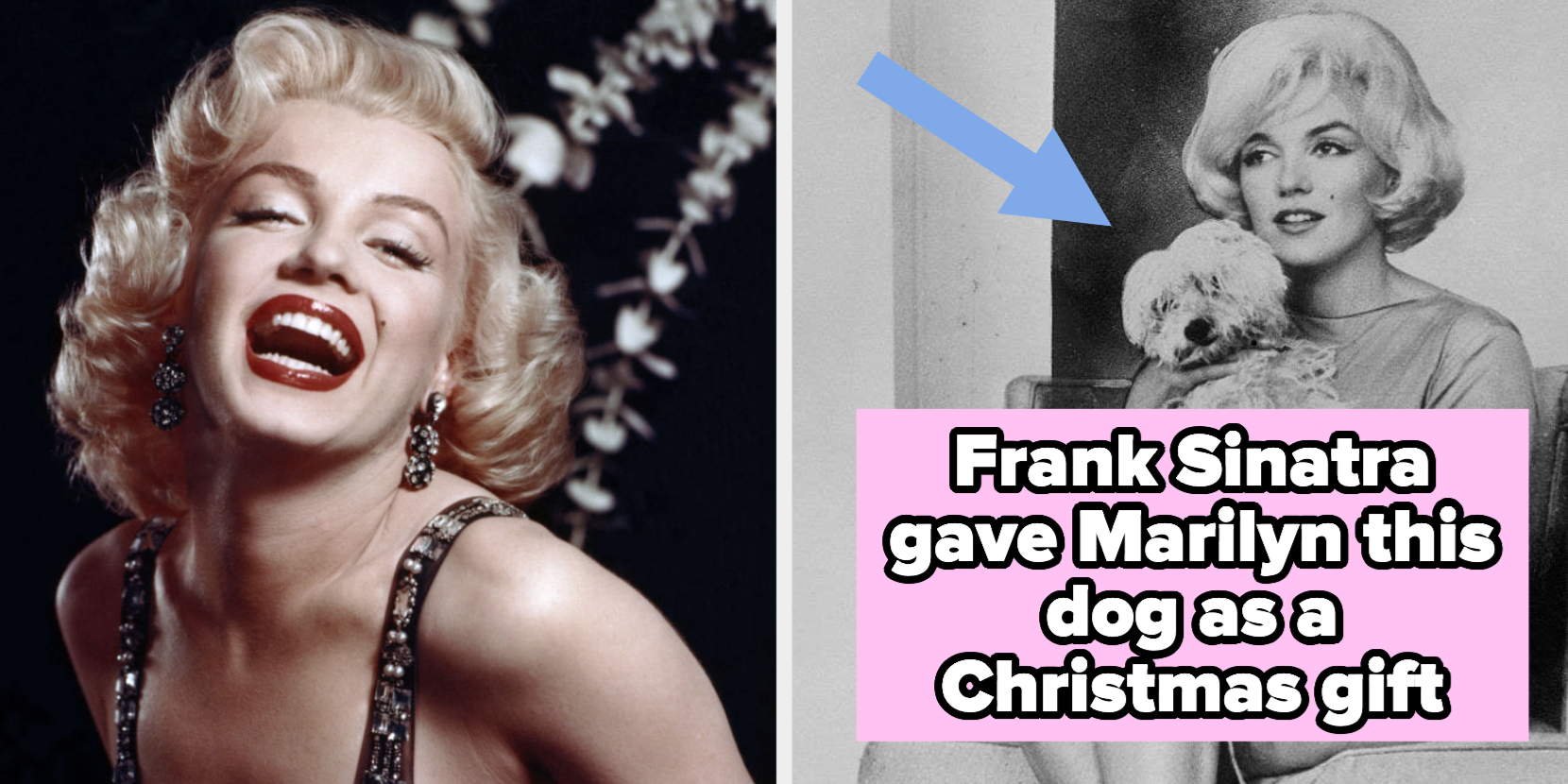 Marilyn Monroe, Biography, Death, Movies, & Facts