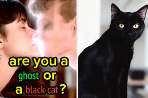 "are you a ghost or a black cat?" is written over a couple and a black cat