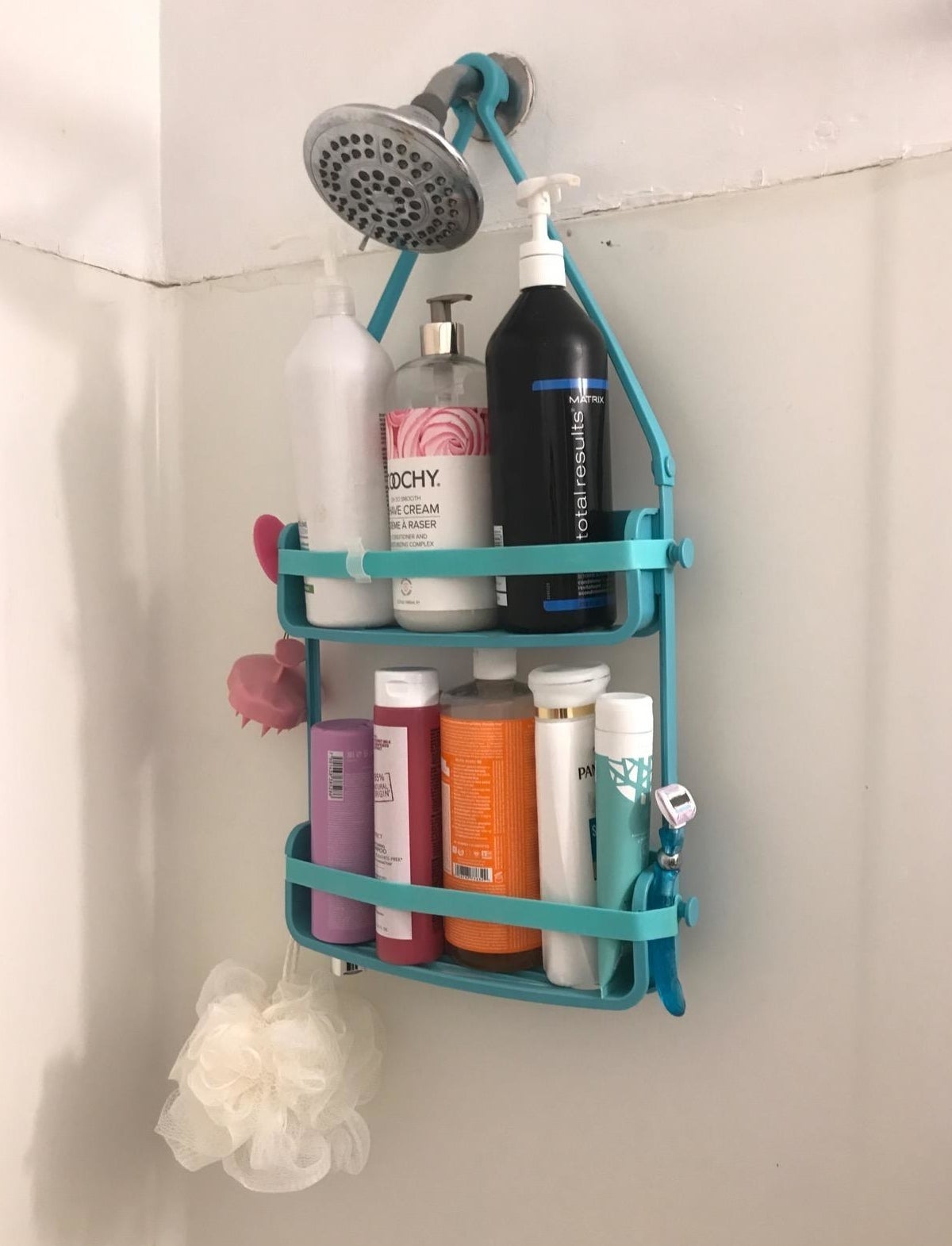Reviewer&#x27;s caddy holding various products and hanging from the shower head