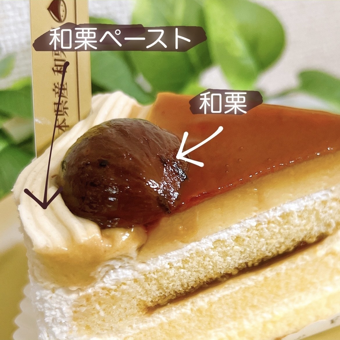 不二家のおすすめのスイーツ「熊本県産和栗のプリンショート」