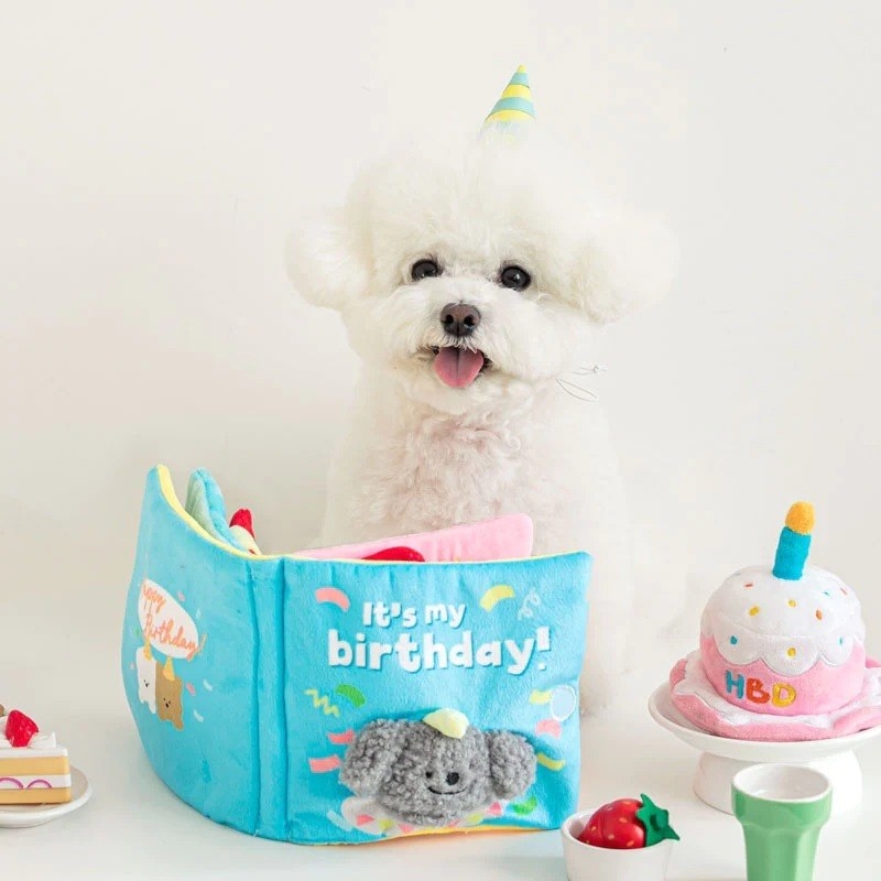 a dog sitting behind an &quot;it&#x27;s my birthday&quot; nosework book in a birthday hat