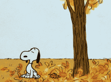 snoopy blowing up a leaf in &quot;it&#x27;s the great pumpkin, charlie brown&quot;