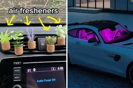 car vent with succulent look air fresheners, pink light on the inside of a car