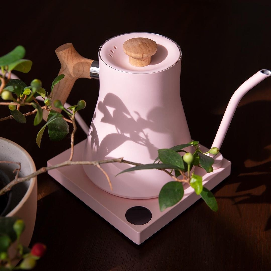 A kettle on a wooden table surrounded by plants