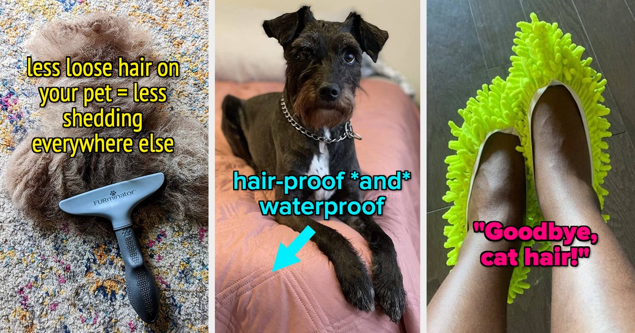 29 Products You Need If Pet Fur Is All Over Your Home