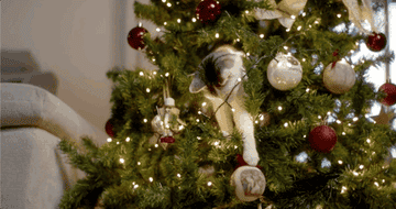 A cat falling off of a holiday tree