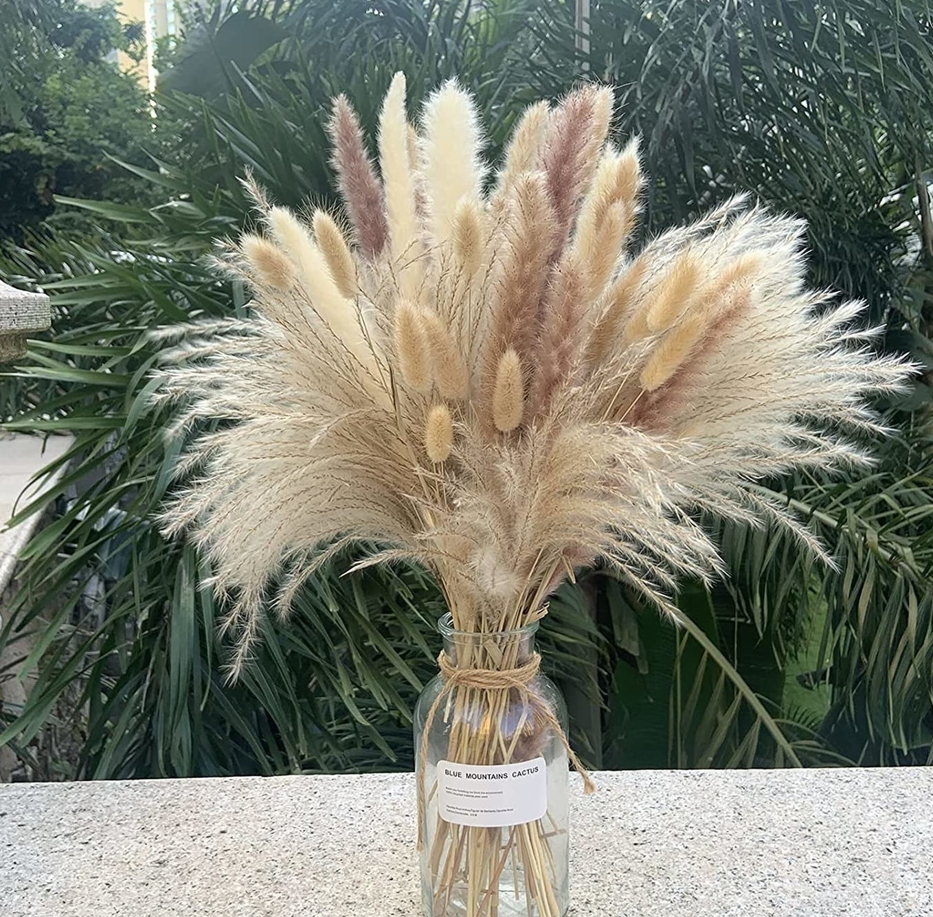 the pampas grass in a vase in front of some plants