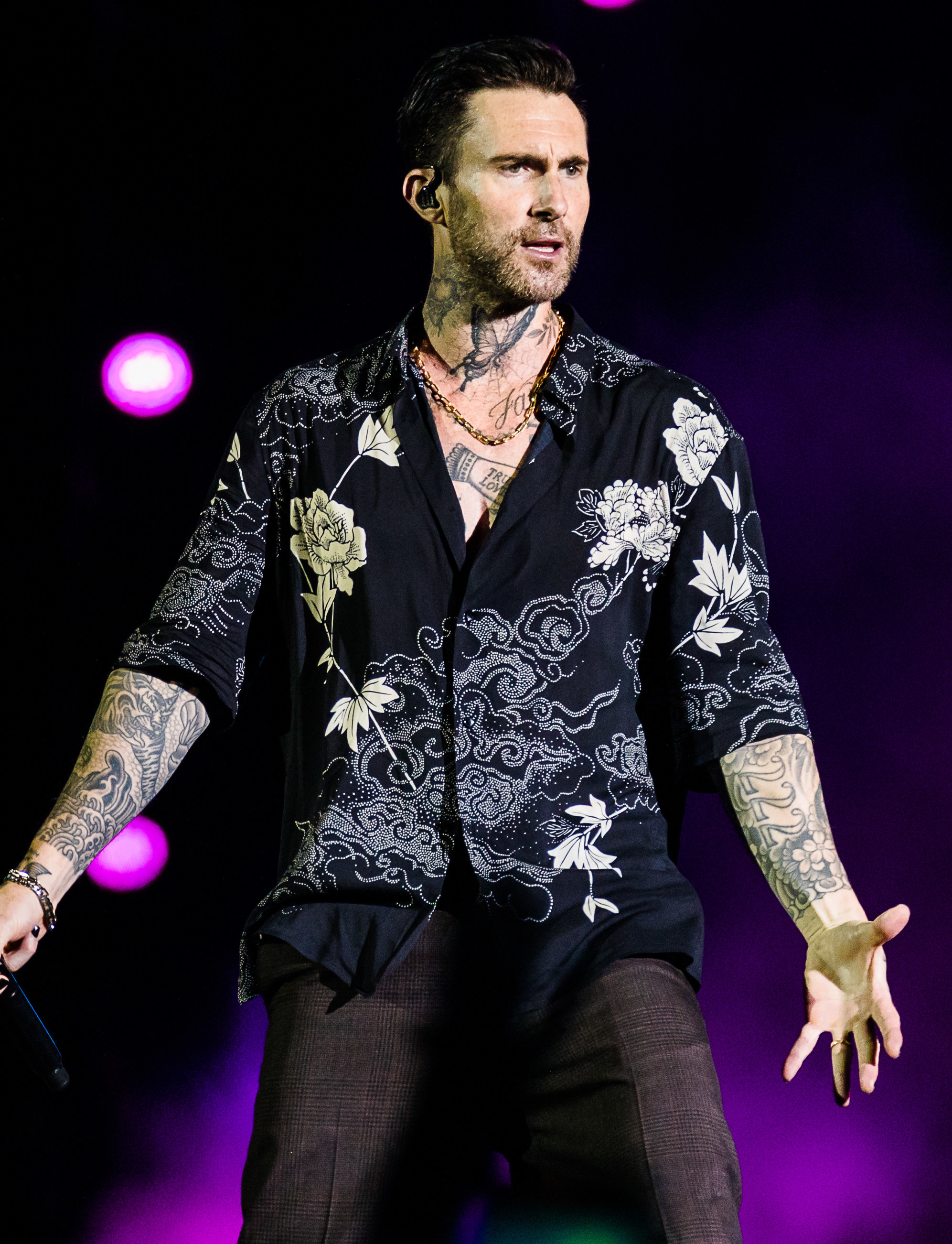 Levine on stage
