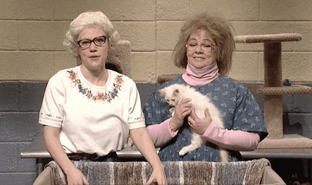 SNL characters at a cat shelter
