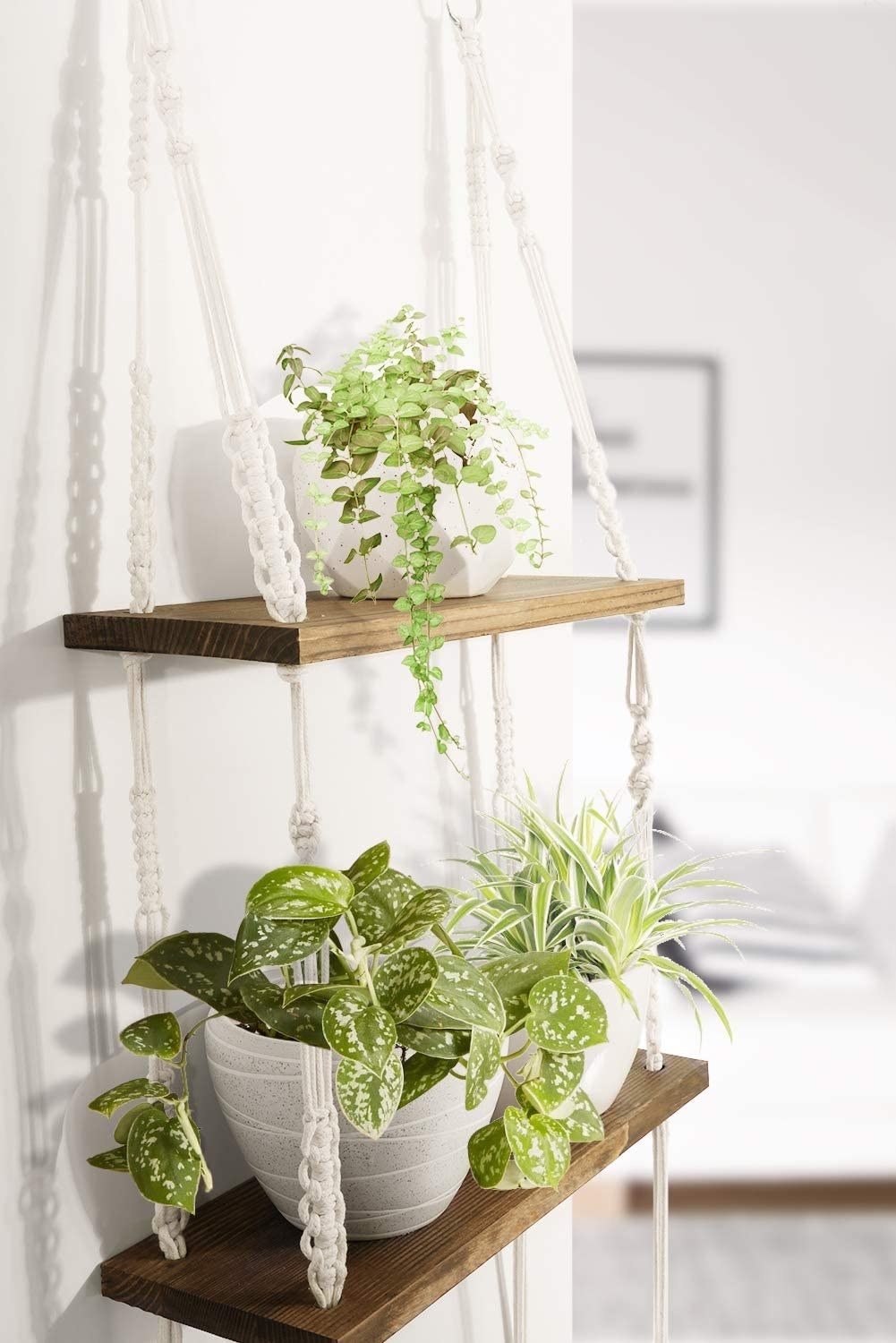 a macrame shelf with plants on it
