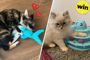 Reviewer image of spotted cat holding plush shark toy, reviewer's cat with paw inside blue tower toy