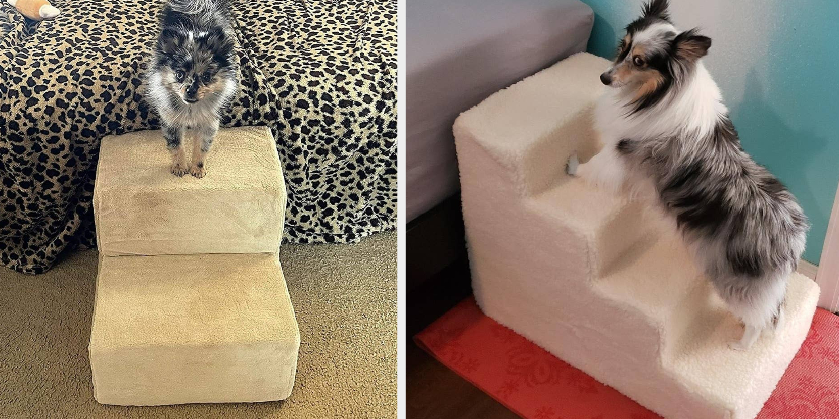 Cheap dog outlet steps