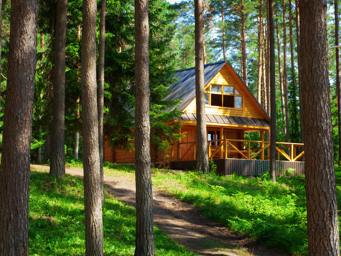 A cabin in the woods