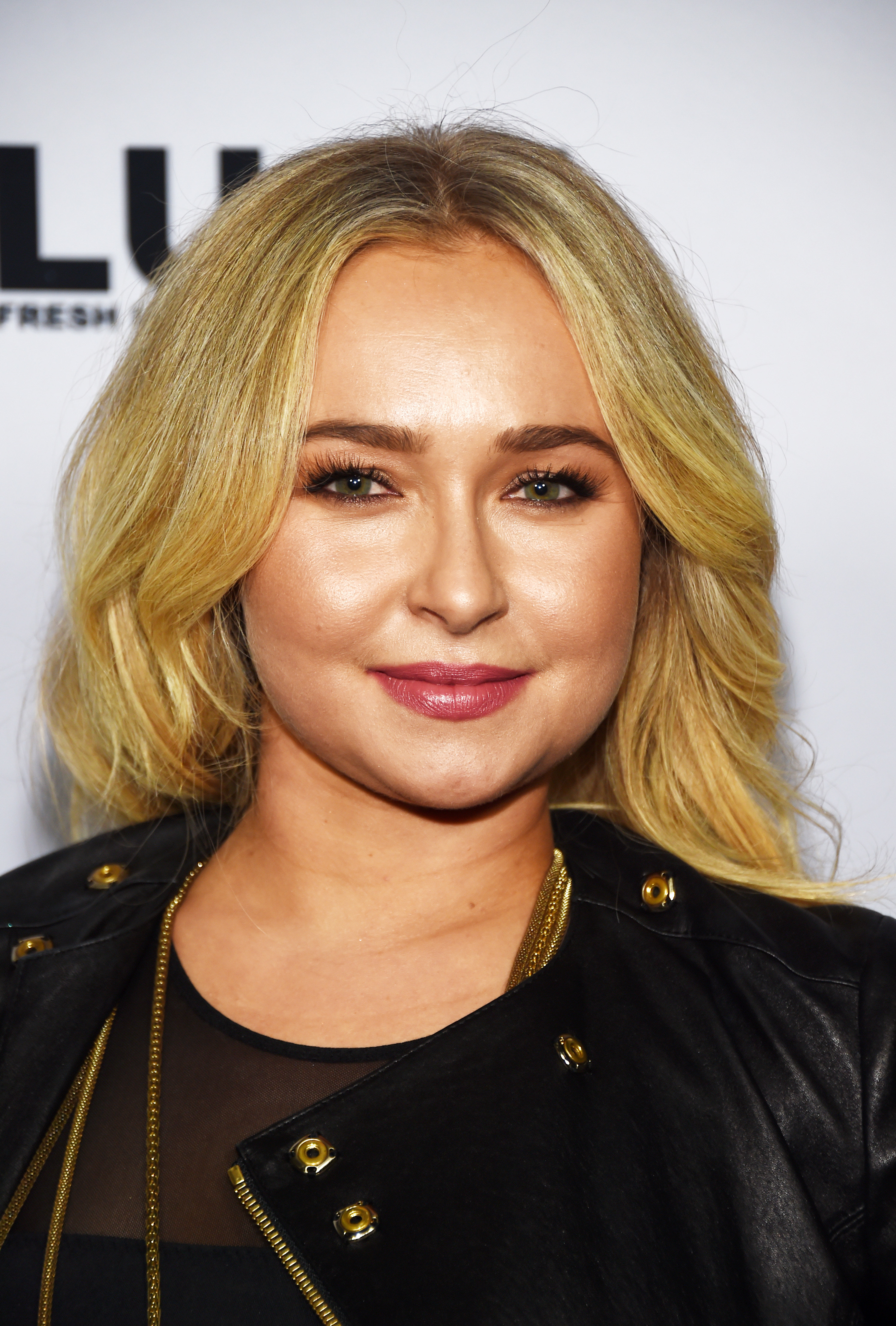 Hayden Panettiere On Giving Up Custody Of Her Child