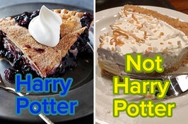 A blueberry pie is on the left labeled, "harry potter" with coconut pie labeled, "not harry potter"