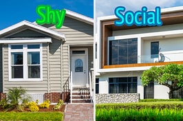 Two houses are shown and labeled, "shy and socail"