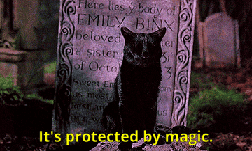 thackery binx as a cat says it&#x27;s protected my magic