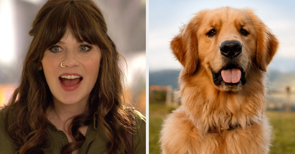 Choose 5 TV Characters To Reveal Your Inner Dog Breed