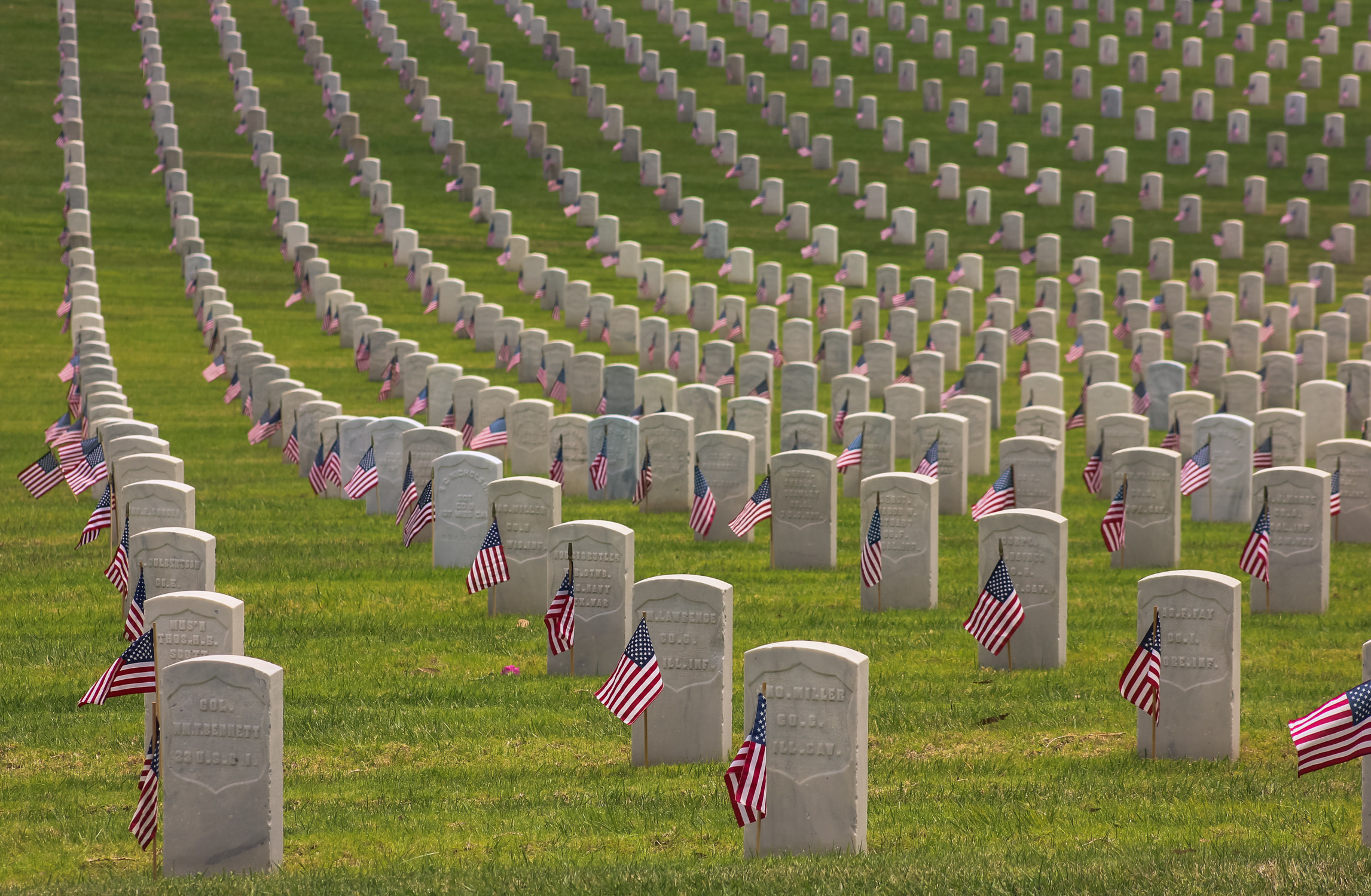 cemetery with american flags at each tombstone