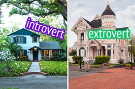 introvert and extrovert