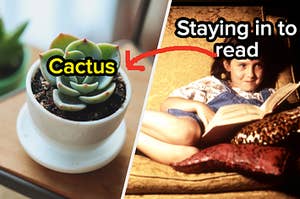 A cactus flower in a pot and Matilda sits in a chair reading