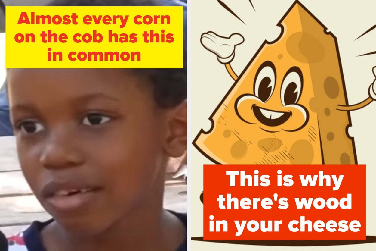 21 Scientific Facts About Cooking That'll Have You Looking At Your Food In A Completely Different Way