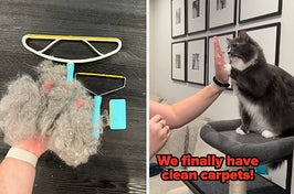 Me holding giant clump of hair with all three tools in the background / me high-fiving a grey and white cat with caption "we finally have clean carpets"