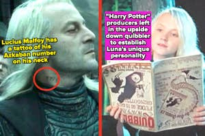 Lucius Malfoy in "Deathly Hallows – Part 2;" Luna Lovegood in "Order of the Phoenix"