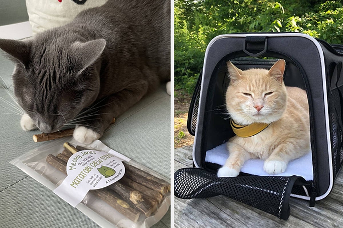 6 Clever Items 11/09/23 - Tuft & Paw Travel Cat Carrier